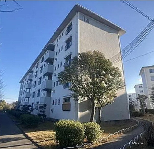21676画像